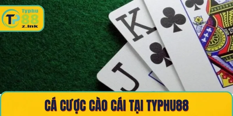 Cá cược cào cái tại Typhu88