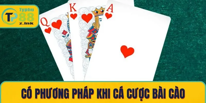 Có phương pháp khi cá cược bài cào