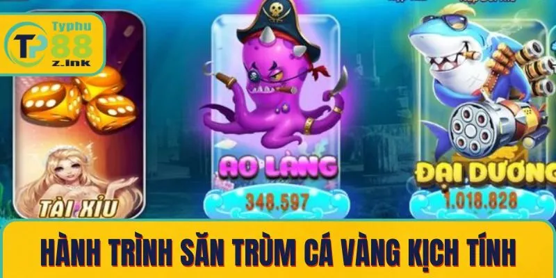 Hành trình săn trùm cá vàng kịch tính