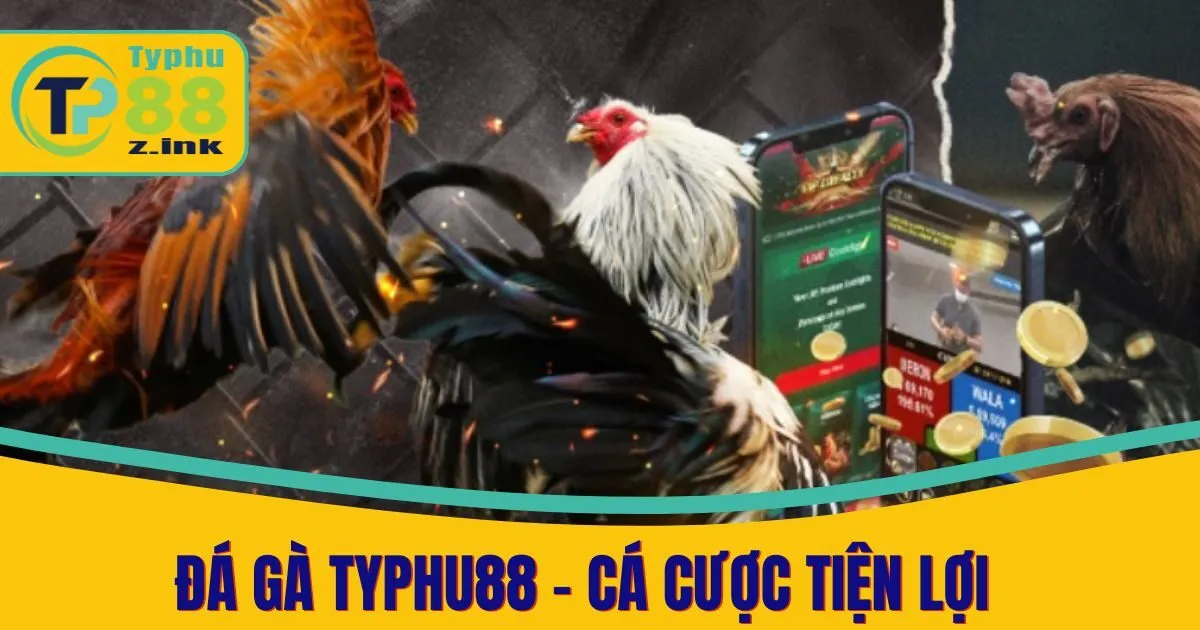 Đá Gà Typhu88 - Cá Cược Tiện Lợi, An Toàn, Hiệu Quả