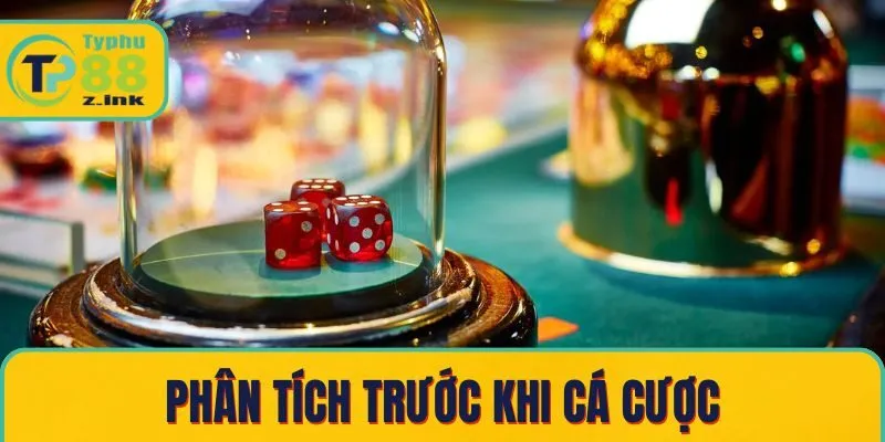 Phân tích trước khi cá cược