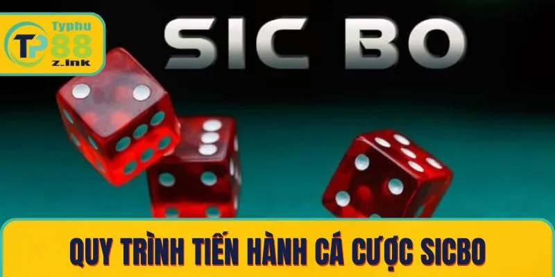 Quy trình tiến hành cá cược sicbo