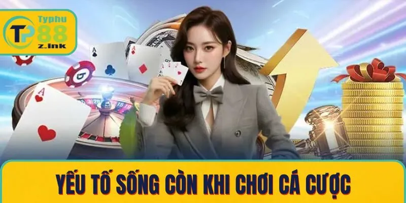 Quản lý tài khoản – yếu tố sống còn khi chơi cá cược